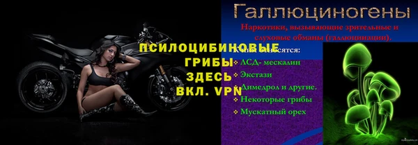 соль ск Нязепетровск