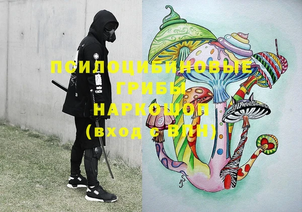 трава Няндома