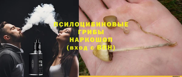 трава Няндома
