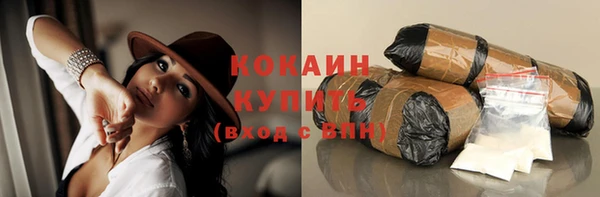 трава Няндома
