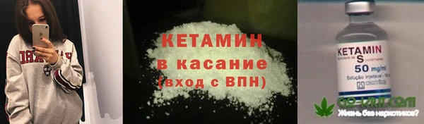 трава Няндома