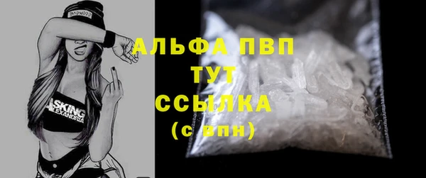 трава Няндома