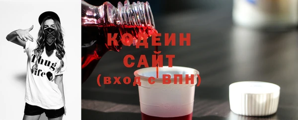 трава Няндома