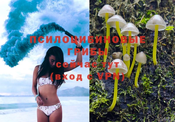 трава Няндома