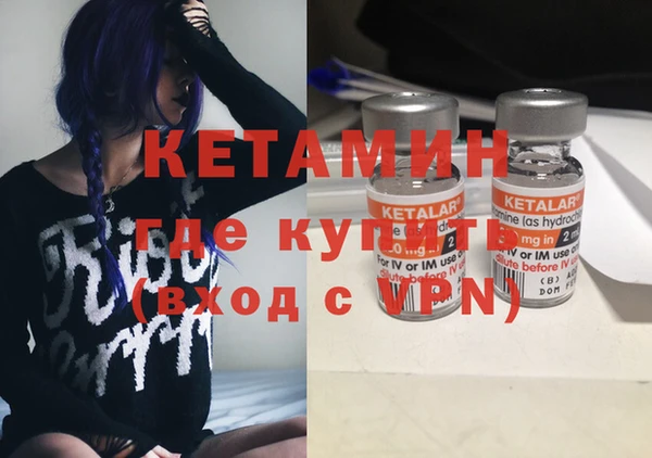 трава Няндома