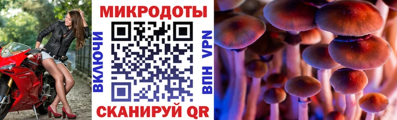 Галлюциногенные грибы прущие грибы  Покровск 
